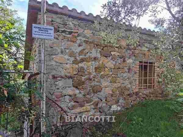 azienda agricola in vendita a Scansano in zona Polveraia