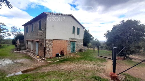 azienda agricola in vendita a Scansano