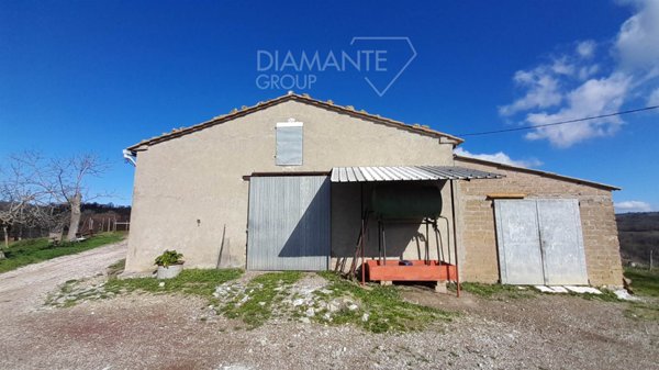 azienda agricola in vendita a Scansano