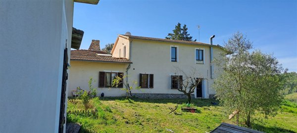 azienda agricola in vendita a Scansano in zona Murci