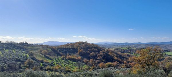 casa indipendente in vendita a Scansano in zona Pancole