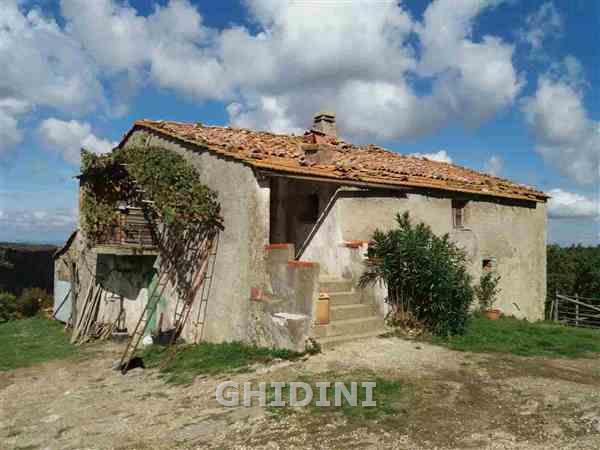 azienda agricola in vendita a Scansano