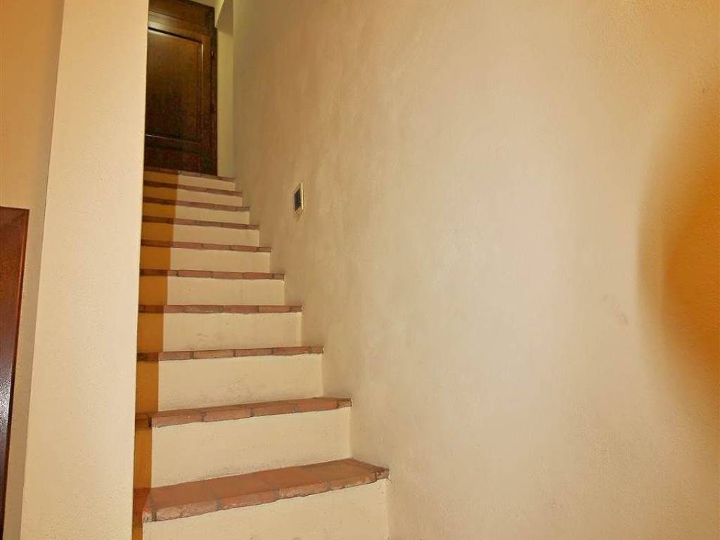 appartamento in vendita a Scansano