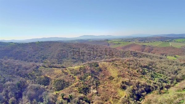 appartamento in vendita a Scansano