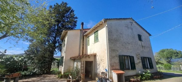 casa indipendente in vendita a Scansano