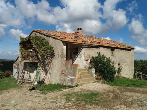 appartamento in vendita a Scansano
