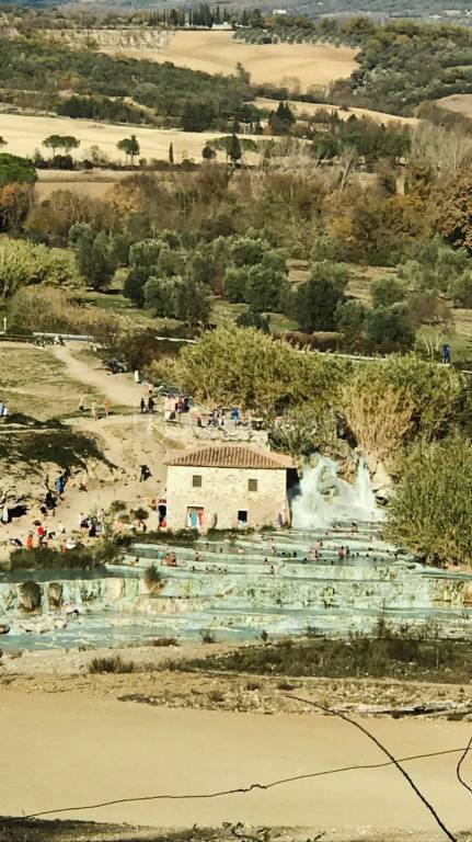 terreno agricolo in vendita a Scansano