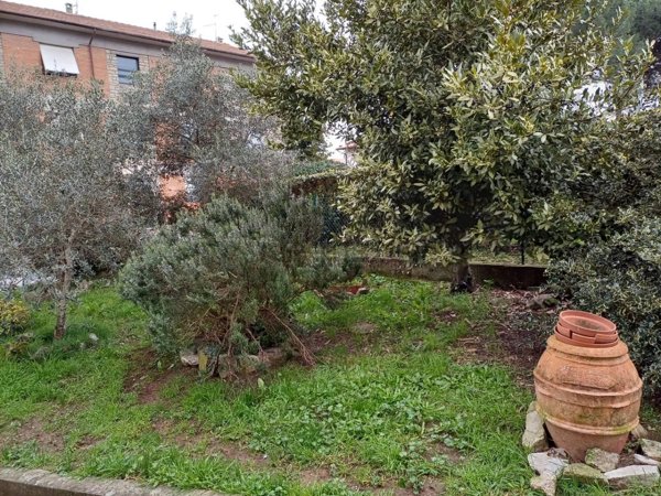 appartamento in vendita a Scansano