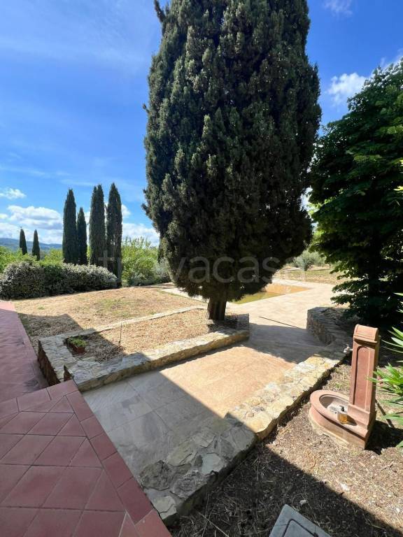 casa indipendente in vendita a Scansano