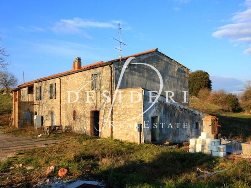azienda agricola in vendita a Scansano