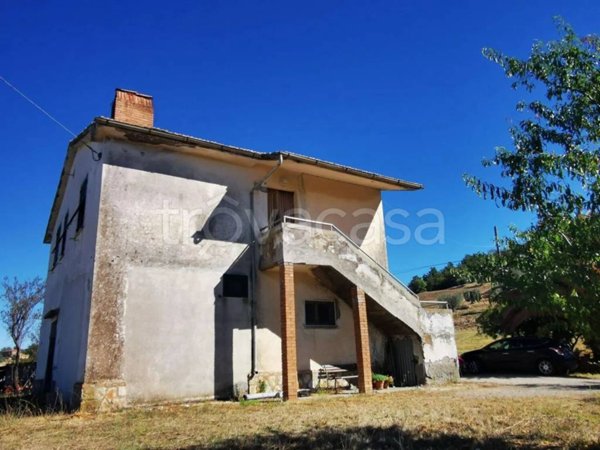 casa indipendente in vendita a Scansano