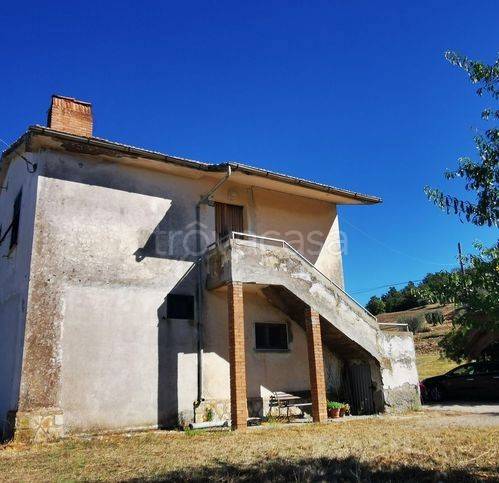 casa indipendente in vendita a Scansano