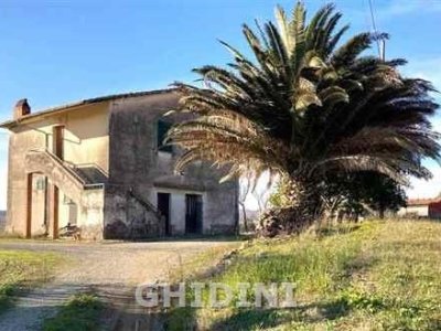 azienda agricola in vendita a Scansano