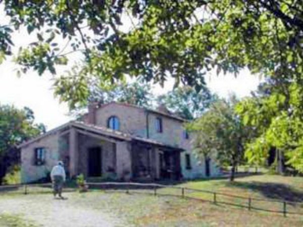 azienda agricola in vendita a Scansano