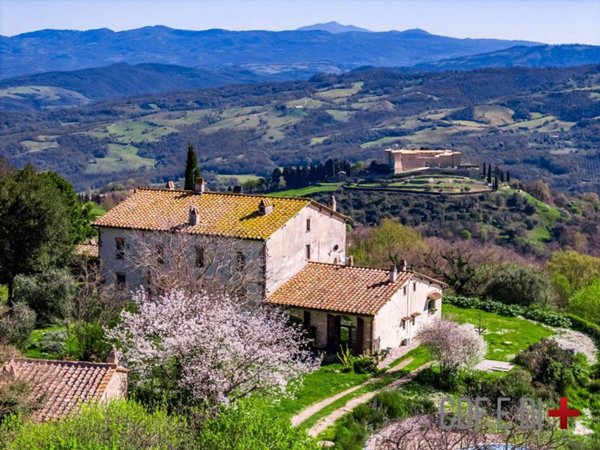 casa indipendente in vendita a Scansano