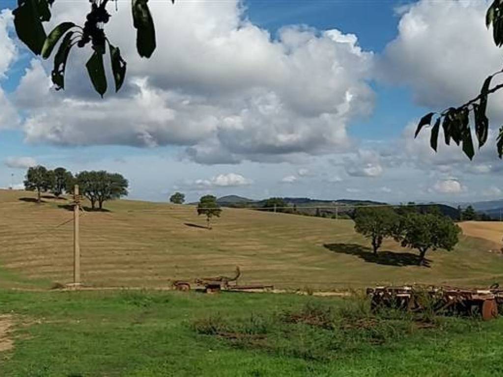 terreno agricolo in vendita a Scansano