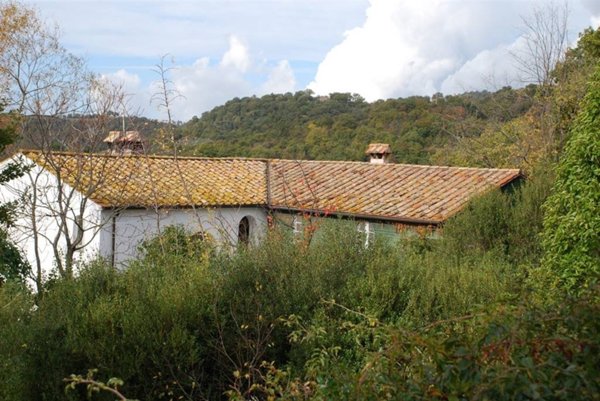 appartamento in vendita a Scansano