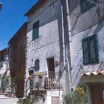 appartamento in vendita a Scansano