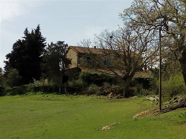 appartamento in vendita a Scansano