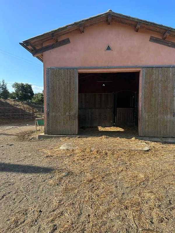 appartamento in vendita a Scansano