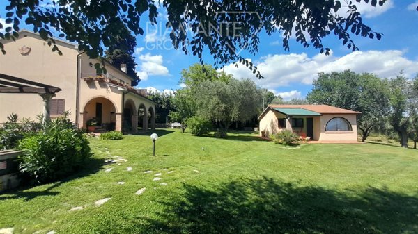 azienda agricola in vendita a Scansano in zona Pomonte