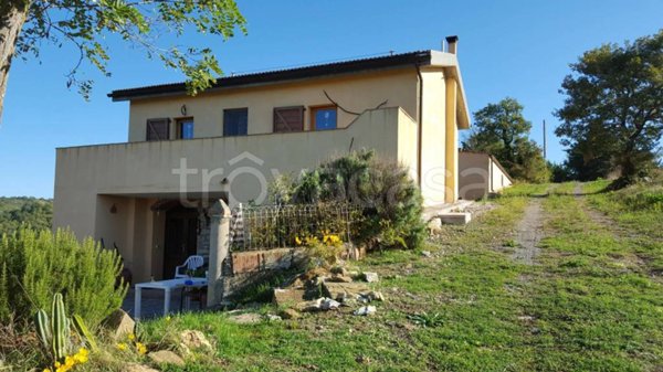 casa indipendente in vendita a Scansano