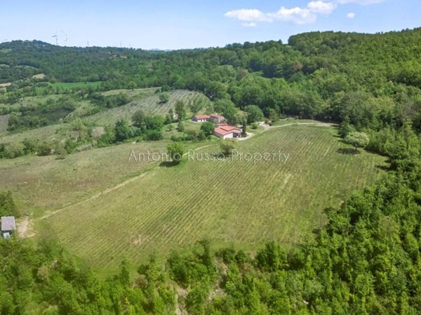 casa indipendente in vendita a Scansano