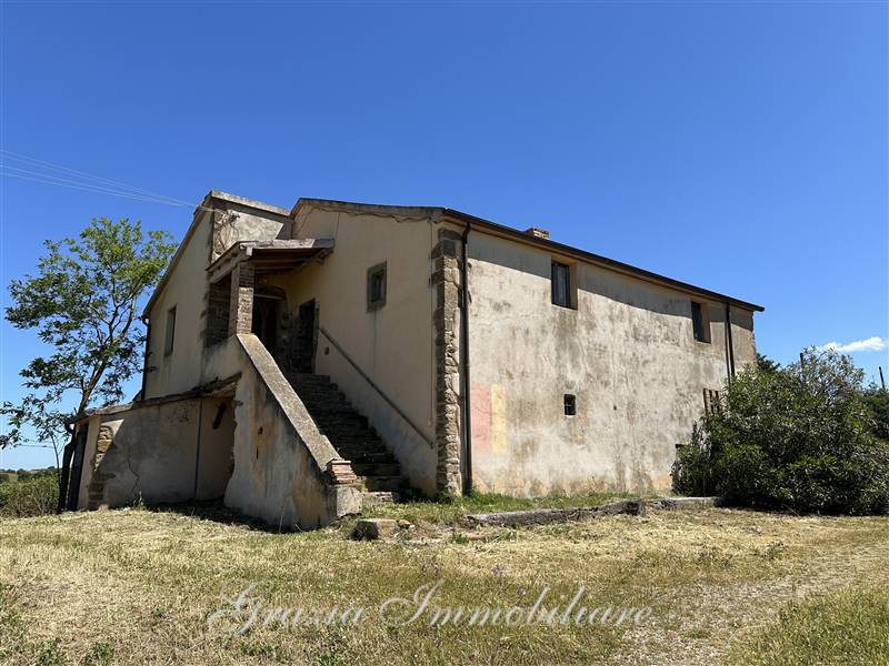 azienda agricola in vendita a Scansano in zona Baccinello