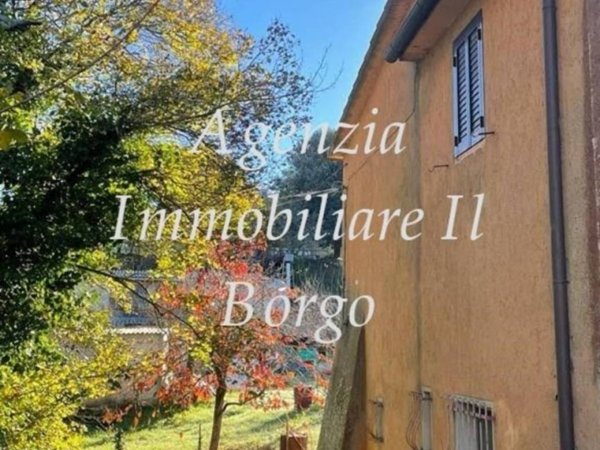 casa indipendente in vendita a Scansano