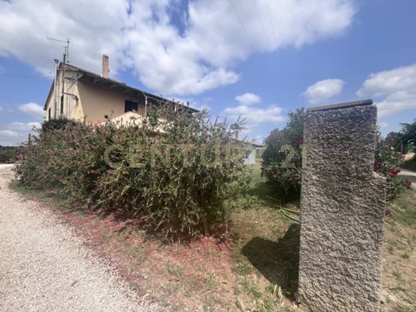 casa indipendente in vendita a Scansano in zona Pomonte