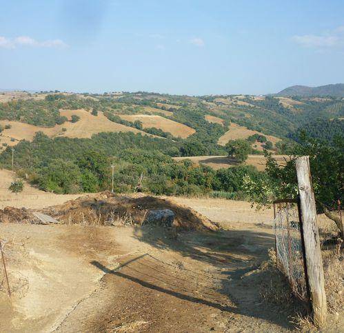 terreno agricolo in vendita a Scansano in zona Pancole