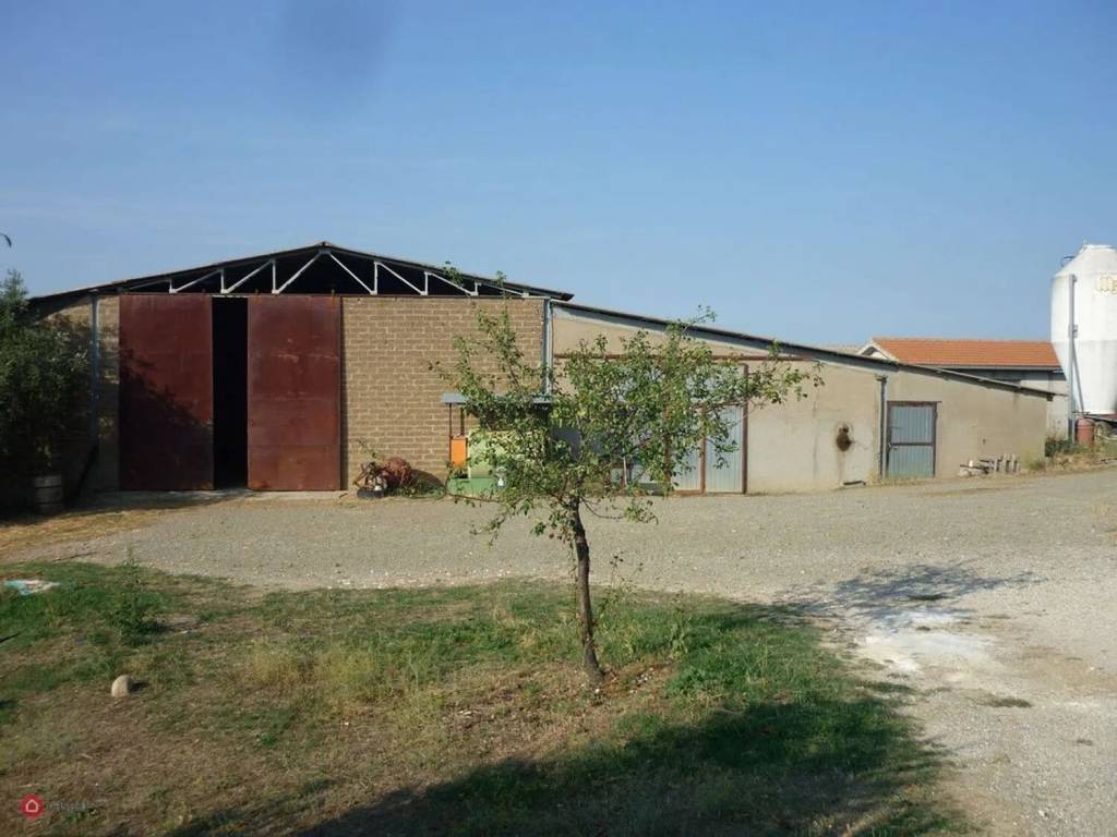 casa indipendente in vendita a Scansano