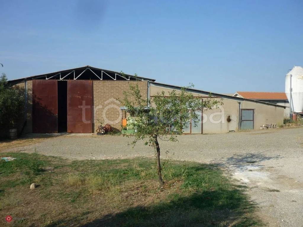 casa indipendente in vendita a Scansano