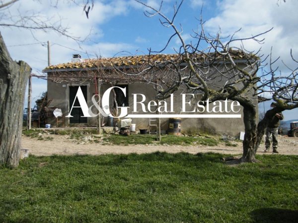 casa indipendente in vendita a Scansano in zona Poggioferro