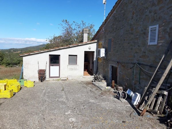esavano in vendita a Scansano in zona Pancole
