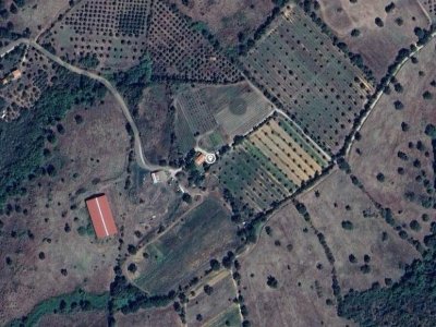 azienda agricola in vendita a Scansano