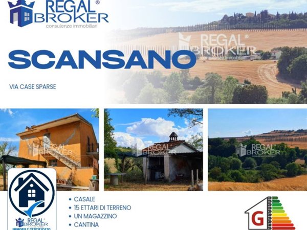 casa indipendente in vendita a Scansano