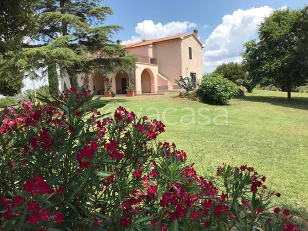 casa indipendente in vendita a Scansano