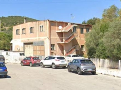 appartamento in vendita a Scansano