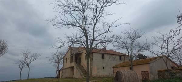 casa indipendente in vendita a Scansano