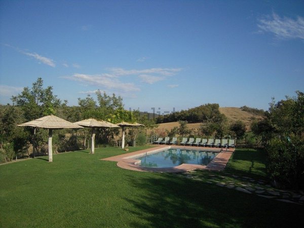 appartamento in vendita a Scansano