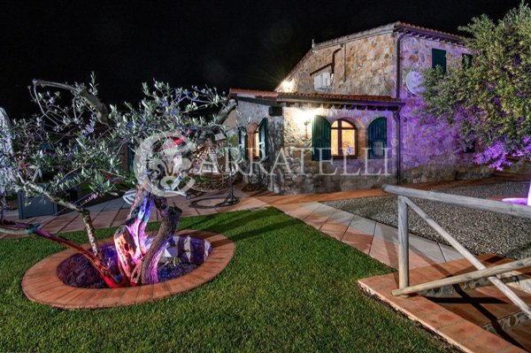 appartamento in vendita a Scansano