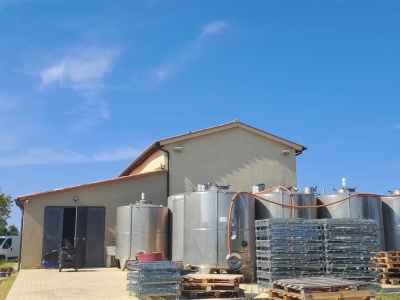 azienda agricola in vendita a Scansano in zona Montorgiali