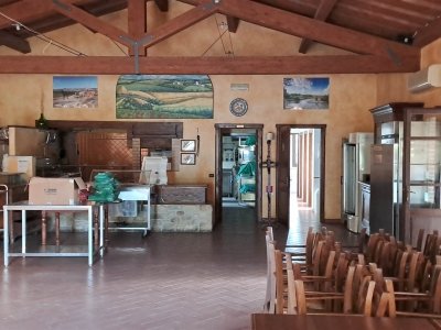 negozio in vendita a Scansano