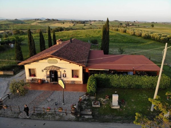 negozio in vendita a Scansano