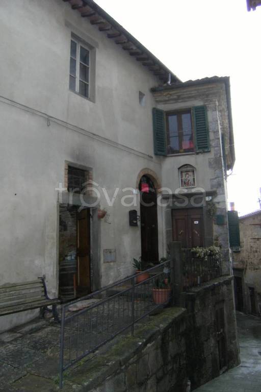 appartamento in vendita a Scansano