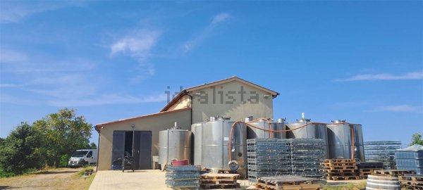 casale in vendita a Scansano