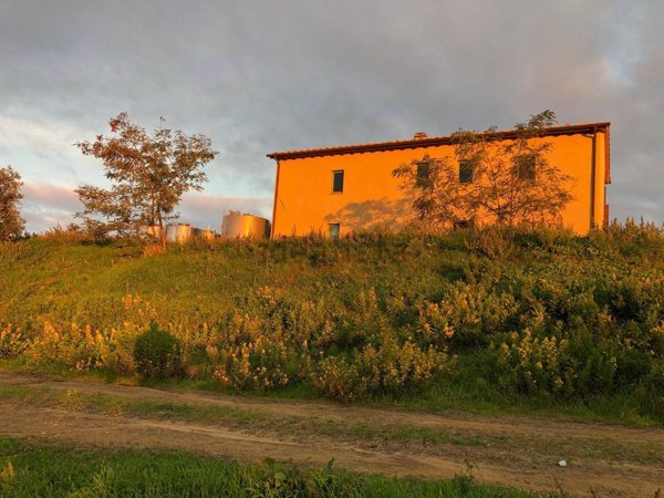 casale in vendita a Scansano