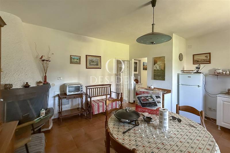 appartamento in vendita a Scansano in zona Pancole