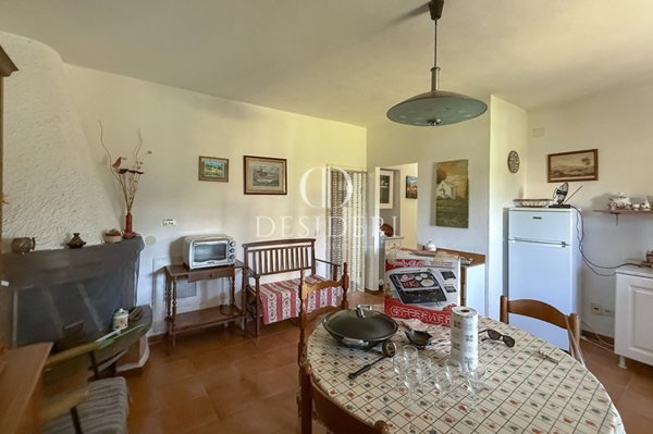 appartamento in vendita a Scansano in zona Pancole